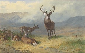 グレンの君主 作： Archibald Thorburn