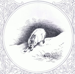 山うさぎ』（ブッククラブアソシエイツ刊 作： Archibald Thorburn