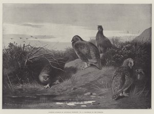 スポーツ科目、12日の夜明け 作： Archibald Thorburn