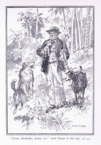 ダウンロムルス、ダウンサー、レディ・トゥ・ザ・ドッグ、1900年代 作： Archibald Webb