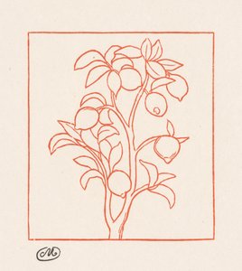ジョージクス：レモンの木 作： Aristide Maillol