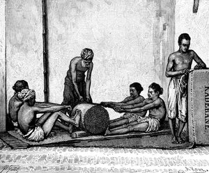 シナモンパッキング、インド、1895年。