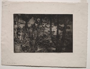夜の木々、c。 1894 作： Armand Séguin