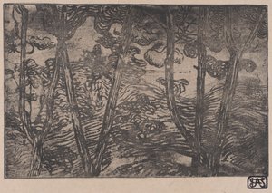 夜の木、カリフォルニア州。 1894年。 作： Armand Séguin