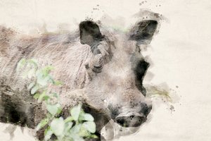 水彩画のイボイノシシの肖像画