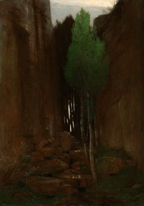 狭い峡谷の泉（岩の裂け目にある泉） 作： アーノルド・ベックリン