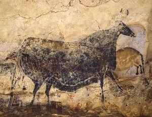 黒牛。 ラスコーの洞窟壁画、紀元前 16.000 ～ 15.000 年頃。 作： Art of the Upper Paleolithic.