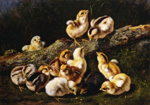 小さなペット、1899 作： Arthur Fitzwilliam Tait
