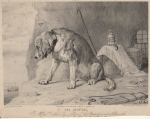 センチネル 作： Arthur Fitzwilliam Tait