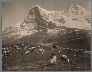 ベルナーオーバーラントのクライネシャイデックの牛、背景にはアイガーとメンヒ Kleine Scheidegg、Eiger und Moench (オブジェクトのタイトル) 作： Arthur Gabler