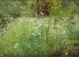 オックスアイデイジーとアイリス、1920 作： Arthur Hacker