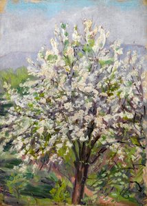 アーモンドの花 作： Arthur Haythorne Studd