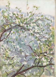 花、1900年頃 作： Arthur Haythorne Studd