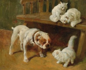 犬と猫