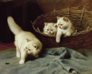 カブトムシと白いアンゴラ子猫、1929年 作： Arthur Heyer