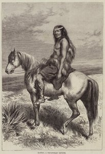 パタゴニアのカミカミロ 作： Arthur Hopkins