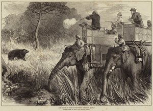 テライのプリンスオブウェールズ、クマを撮影 作： Arthur Hopkins