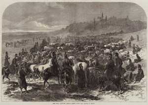 戦争、セダンの戦いの後にフランスの馬を捕らえた