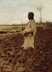 エジプトの種まき、1881