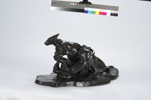 カンガルーと犬