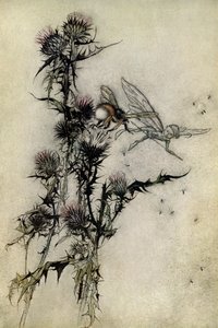 真夏の夜の夢 作： Arthur Rackham