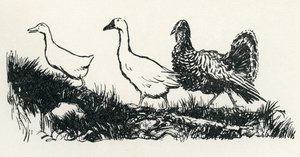 ヘニーペニー 作： Arthur Rackham