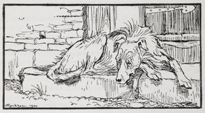 Illustration from Old Sultan of a dog.   1452738   ja       japanese Successfully Translated  Original: Fox Hunting: Drawing the Covert Translat: Fox Hunting: Drawing the Covert 1446452 ja japanese Successfully Translated Original: Charles University of Pr 作： Arthur Rackham