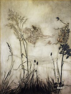 妖精は絶妙なダンサーであり、JMバリー（1860-1937）によるケンジントンガーデンズのピーターパンのイラスト1906（紙にトイレ付きのペンとインク） 作： Arthur Rackham