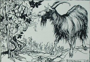 イソップ寓話集』（ハイネマン社）より「ヤギとつる」の挿絵 作： Arthur Rackham