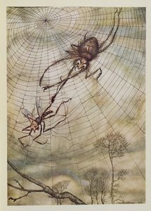 クモとハエ、「イソップ寓話」のイラスト、ハイネマン発行、1912 作： Arthur Rackham