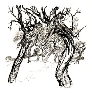 ささやく木、リンゴの皿から、1917年、1923年 作： Arthur Rackham