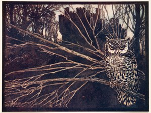 ？または、アメリカオオコノハズキ..、グリム兄弟の童話、パブから。 1909 作： Arthur Rackham