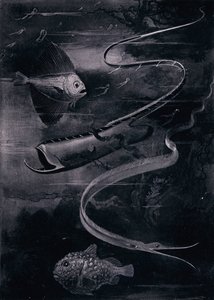 深海魚（リトグラフ