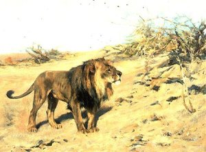 スクラブ中のライオン 作： Arthur Wardle