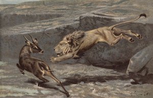 夜の攻撃（クロモリ） 作： Arthur Wardle