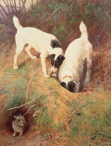 家に誰かいますか？ 作： Arthur Wardle