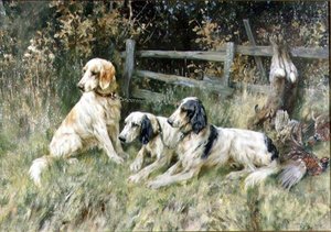 デイズバッグで 作： Arthur Wardle