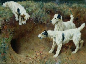 アナグマ セットによるワイアーヘアード フォックス テリア 作： Arthur Wardle