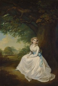 フランシス、レディ・チェンバーズ (旧姓ウィルトン) 作： Arthur William Devis