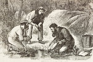 オーストラリア（1880年）。ボタニー・ベイ（1788年設立）における金鉱掘り人たちの生活。エングレーヴィング。個人蔵 作： Artist Unknown