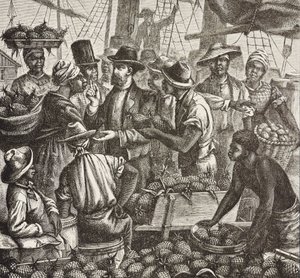 イングランドの歴史（19世紀）。植民地化（1880年）。パイナップルを売るバハマニュープロビデンス島のイギリス植民地。パイナップルはナッソー港からの輸出品のひとつで、最も重要なものだった。エングレーヴィング。個人蔵