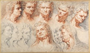 Head Studies（紙にカラーチョークで描いたもの 作： Artus I (attr. to) Quellinus