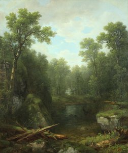 Chapel Pond Brook、キーンフラッツ、アディロンダックマウンテン、ニューヨーク、1871