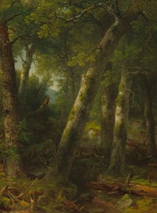 朝の光の森、c。 1855年。