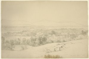 風景、ニューヨーク州バリータウン、1865年（茶色の紙に切り株が入ったグラファイト）