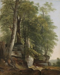 岩と木のある風景、c.1845 作： Asher Brown Durand