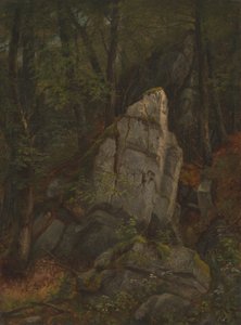 1850 年代半ばのピアソン渓谷の岩石の研究。 作： Asher Brown Durand