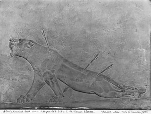 負傷した雌ライオン、アシュルバニパルII殺害ライオンを描いた救済パネルの詳細、アシュルバニパルII宮殿、ニムルド、イラク、ネオアッシリア、紀元前668-627年（石灰岩）