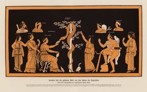ヘスペリデスの園から黄金の林檎を盗むヘラクレス（カラーリトグラフ） 作： Asteas Asteas