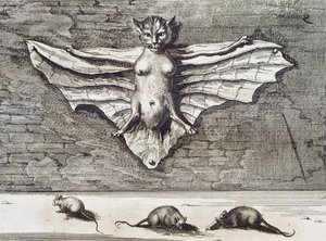 飛ぶ猫、1667 作： Athanasius Kircher